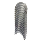 Conchas Bancada Std Machito Autana Land Cruiser 4.5 Burbuja